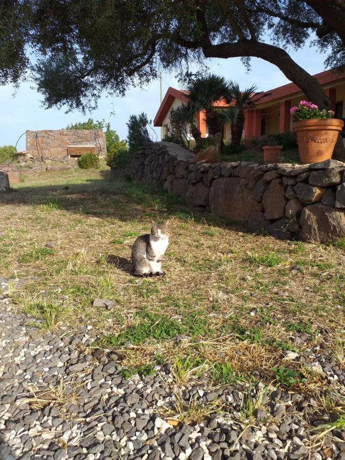 Agriturismo Conca' E Janas Dorgali Eksteriør bilde