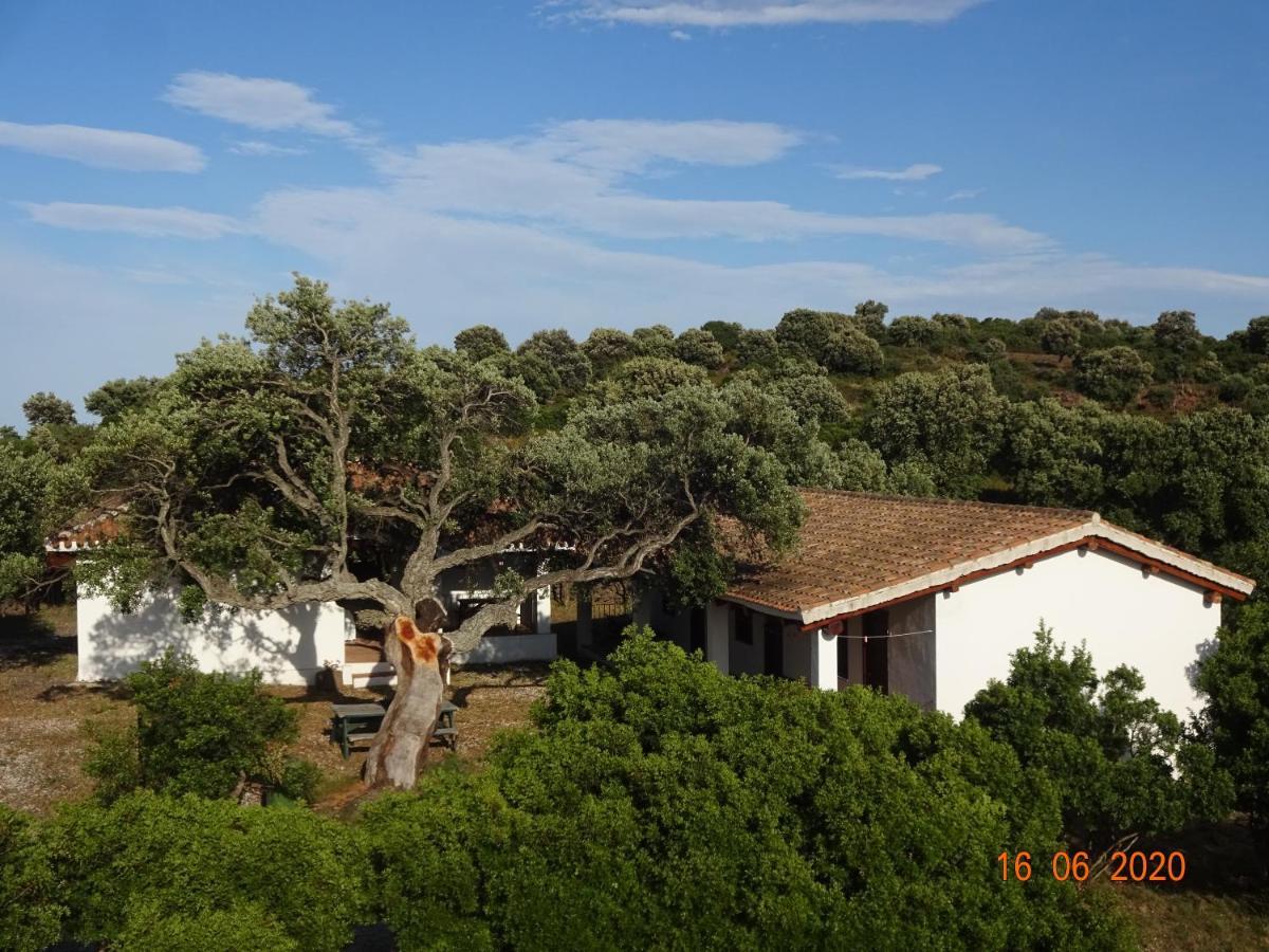 Agriturismo Conca' E Janas Dorgali Eksteriør bilde