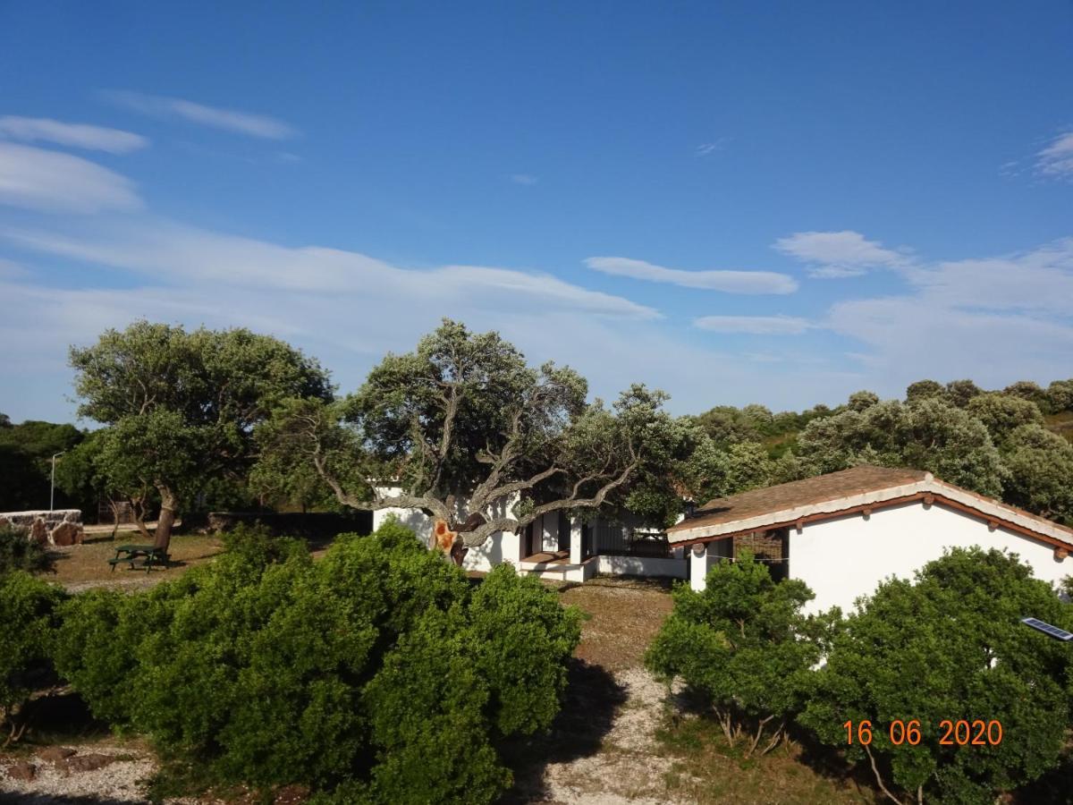 Agriturismo Conca' E Janas Dorgali Eksteriør bilde