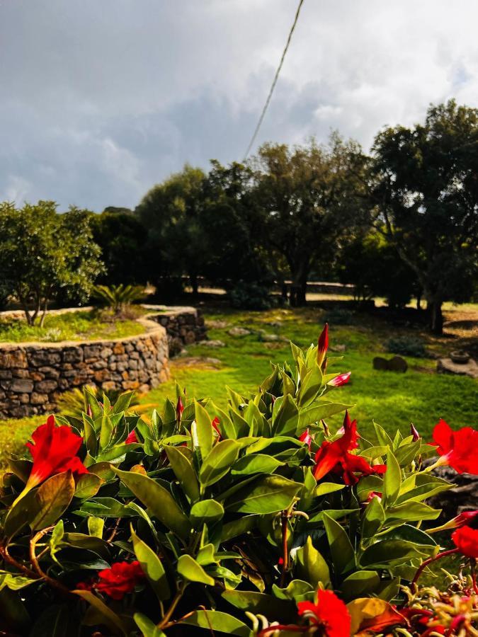 Agriturismo Conca' E Janas Dorgali Eksteriør bilde