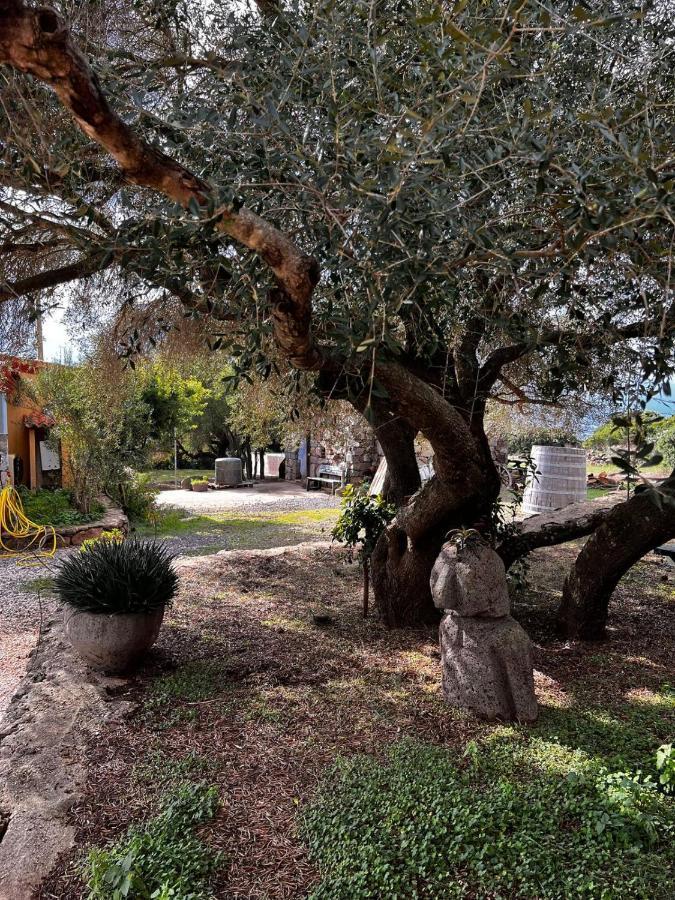 Agriturismo Conca' E Janas Dorgali Eksteriør bilde