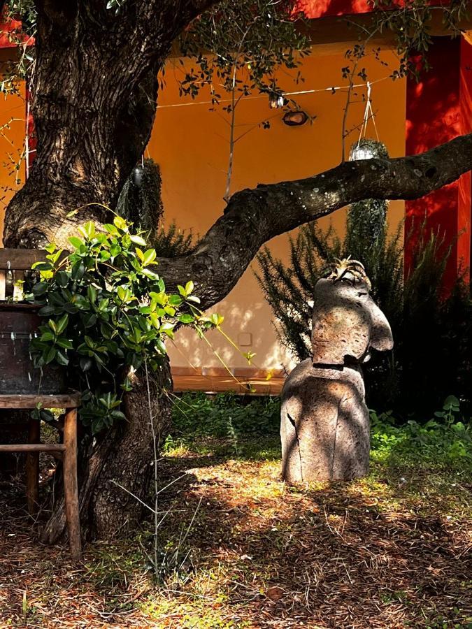 Agriturismo Conca' E Janas Dorgali Eksteriør bilde