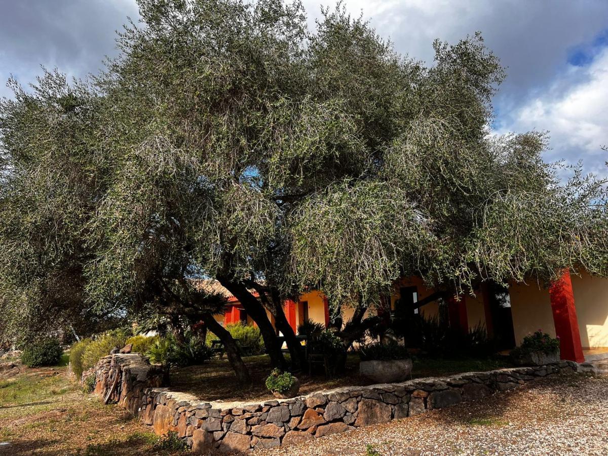 Agriturismo Conca' E Janas Dorgali Eksteriør bilde