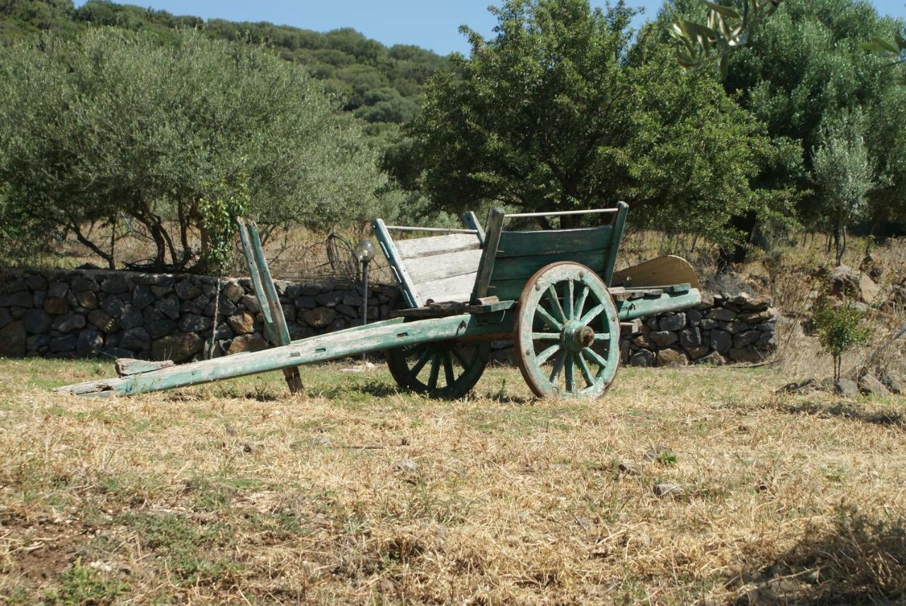 Agriturismo Conca' E Janas Dorgali Eksteriør bilde