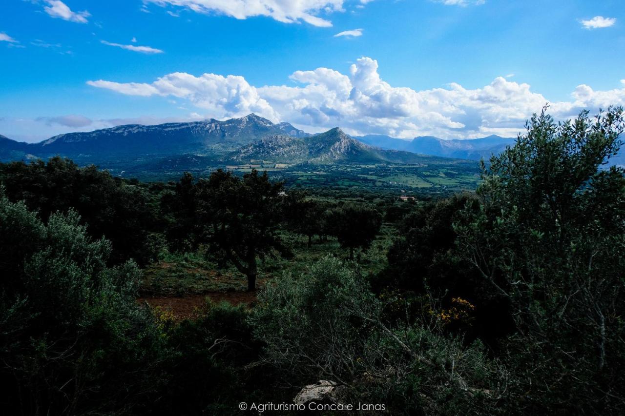 Agriturismo Conca' E Janas Dorgali Eksteriør bilde