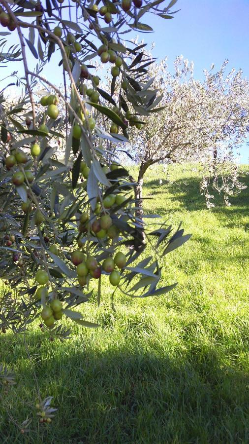 Agriturismo Conca' E Janas Dorgali Eksteriør bilde