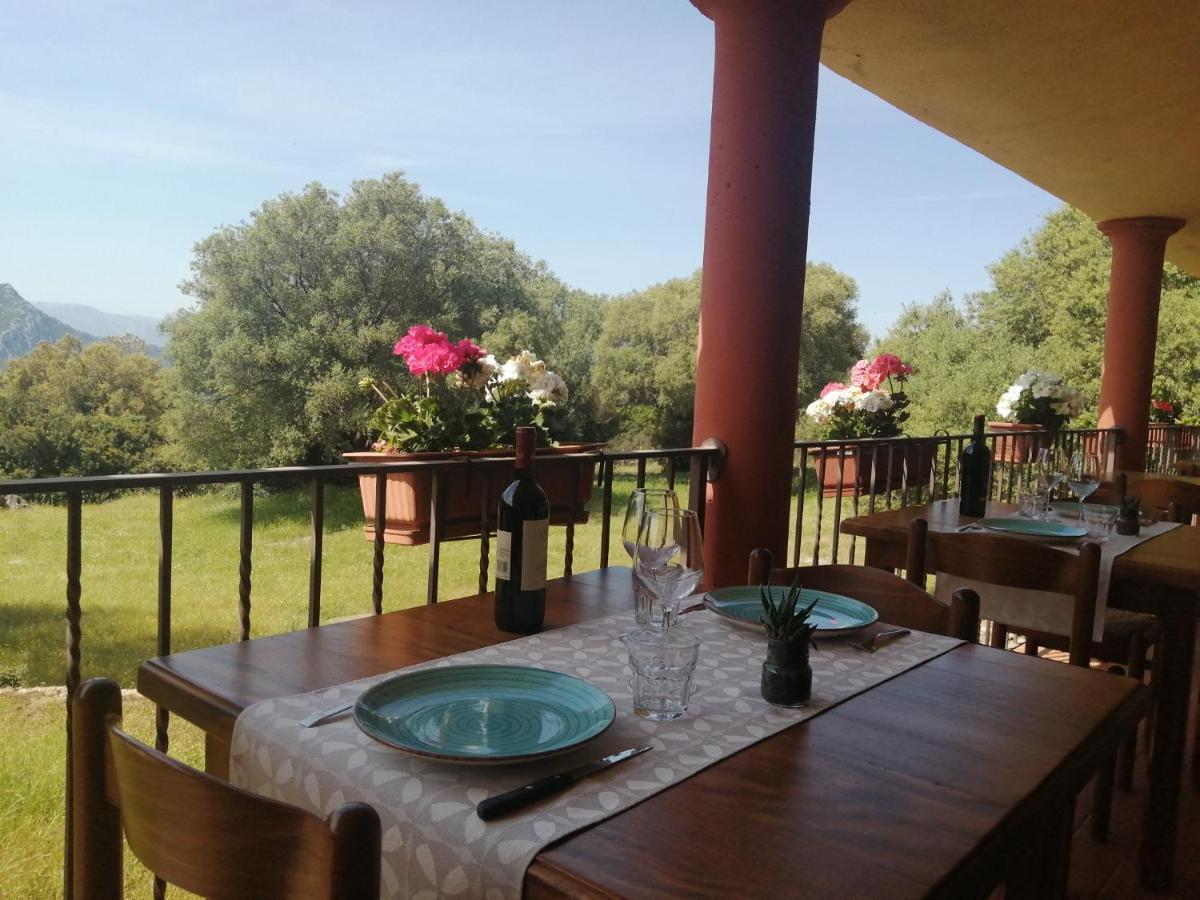 Agriturismo Conca' E Janas Dorgali Eksteriør bilde