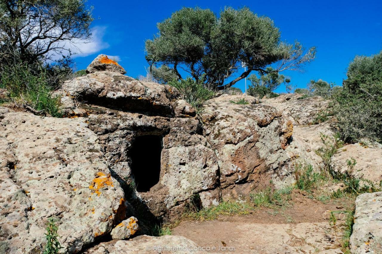 Agriturismo Conca' E Janas Dorgali Eksteriør bilde